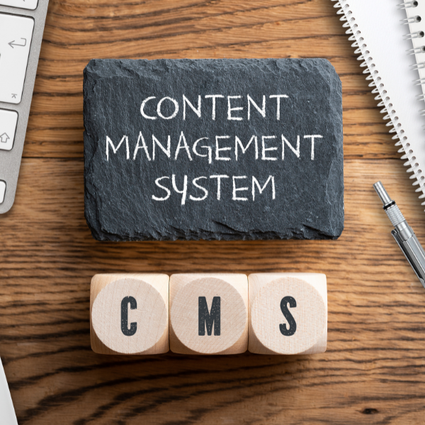 CMS Theme Design Services