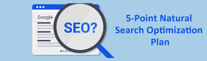 5-Point Natural Search Optimization Plan for Business